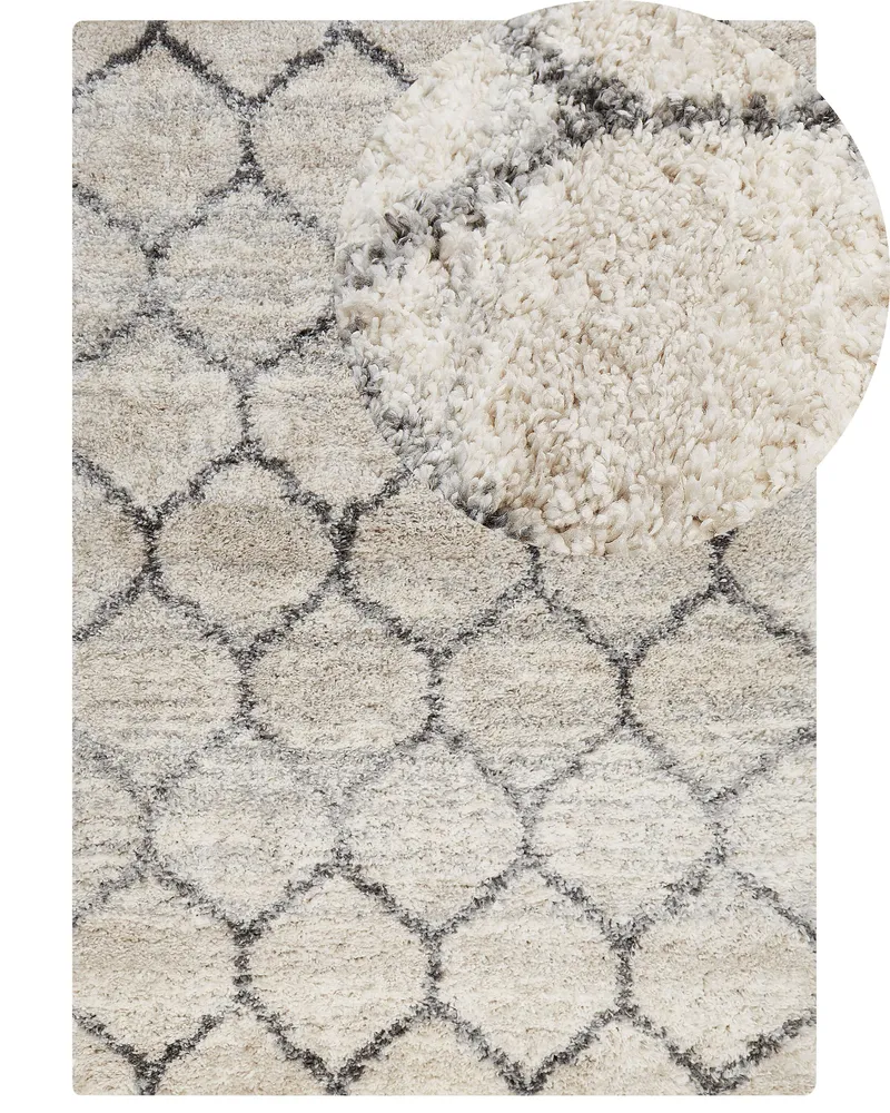 Shaggy Area Rug 160 x 230 cm Light Chamois and Grey YEREVAN