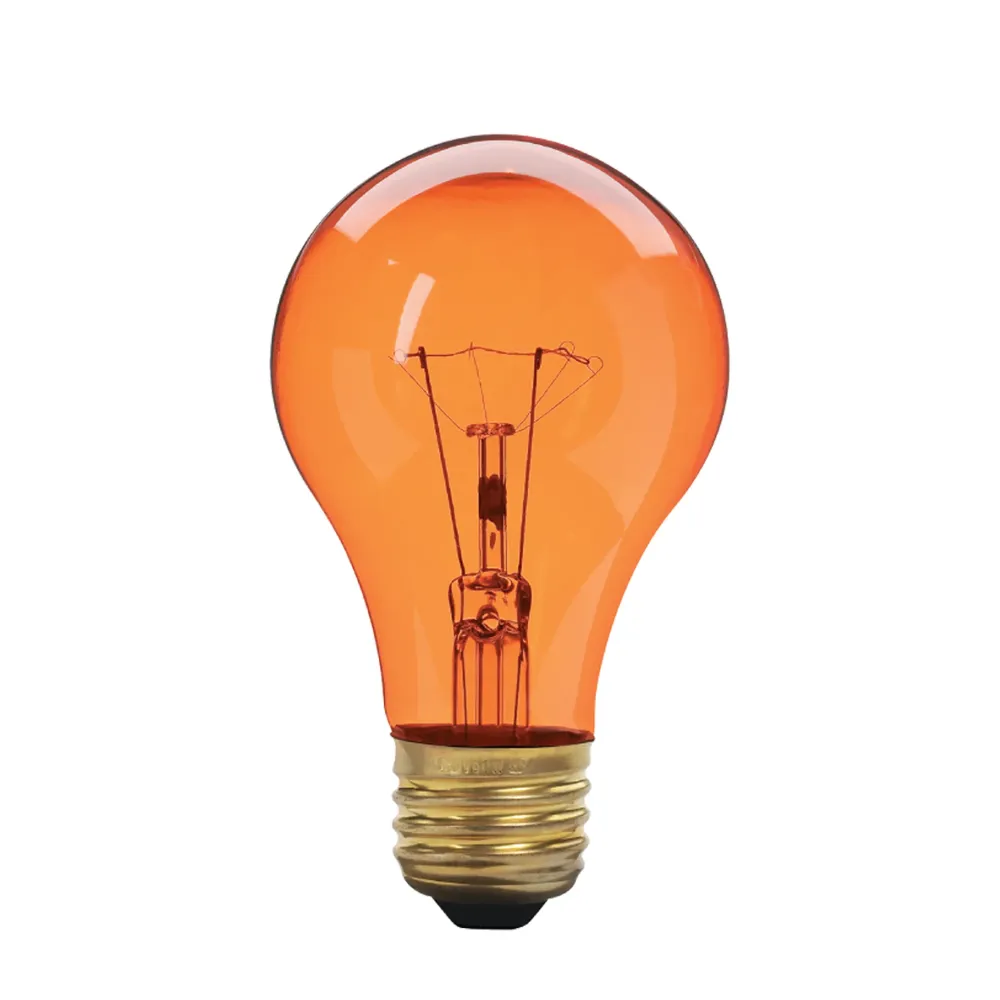 Résistant aux Intempéries Ampoule incandescente A19, ambrée