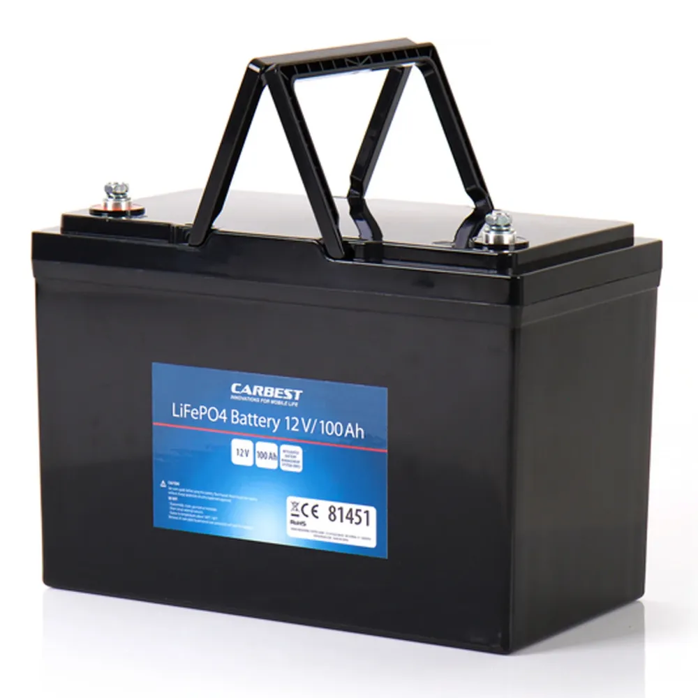 Professionnel Haute Résistance Carbest Lithium-Eisen-Phosphat Batterie, LiFePO4, 12V / 100Ah für Reisemobile