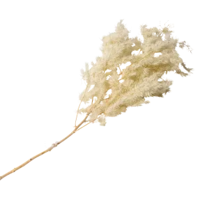BRANCHE DE MINIS PLUMEAUX NATURELS (Norme DIN)