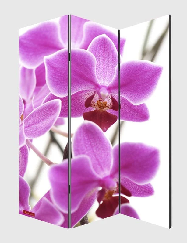 Paravent 3 panneaux pans séparateur de pièce 180x120cm motif orchidée PAR04001