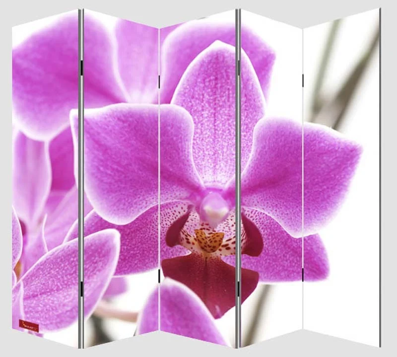 Paravent 5 panneaux pans séparateur de pièce 180x200cm motif orchidee PAR04006