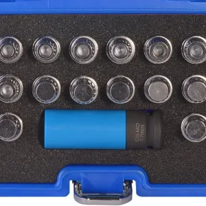 Kit de démontage de serrure de jante SW-Stahl BMW 21 pièces 02381L prendre à bas prix
