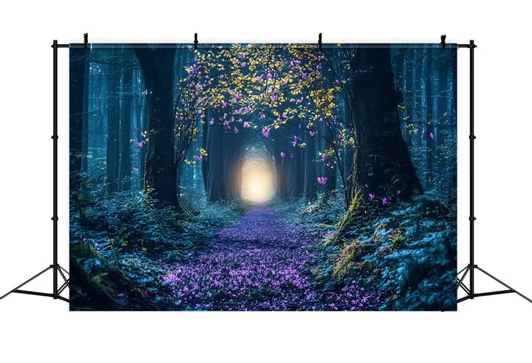 Toile de fond êt Enchantée Fin Radieuse Sentier Fleuri CSH4-87