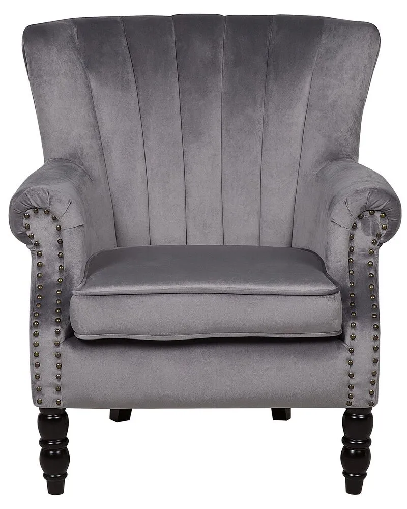 Wingback Chair SVEDALA Velours Grey
