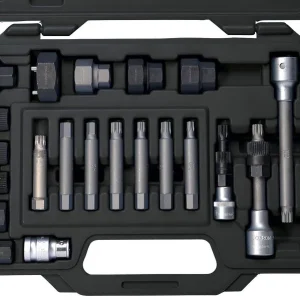 Jeu d'embouts SW-Stahl pour poulie à roue libre 1/2" 22 pièces 05275L se procurer à bas prix