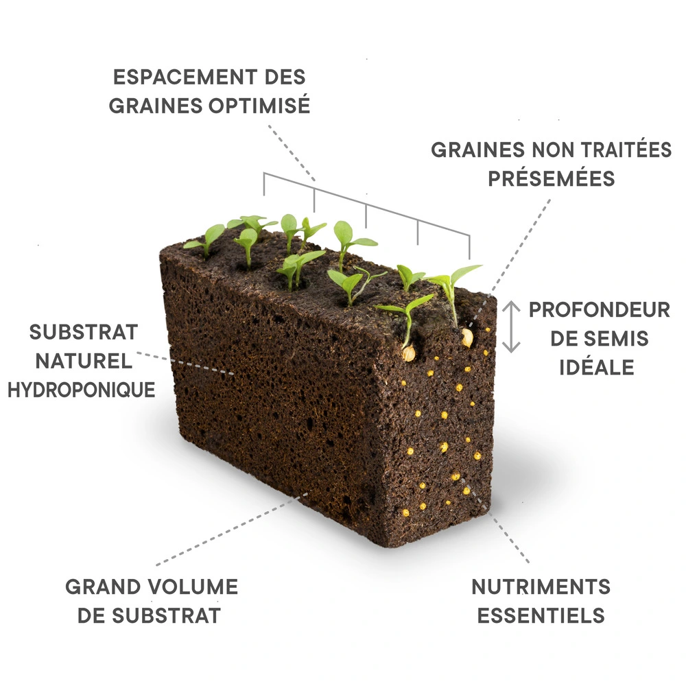 Lingot shiso bicolore - recharge prête à l'emploi