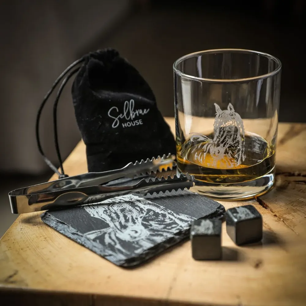 Set Selbrae de 5 pièces pour whisky et liqueurs avec boîte en bois Vache