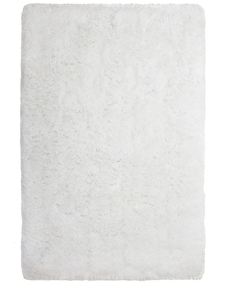 Shaggy Area Rug 200 x 300 cm Blanc pur CIDE