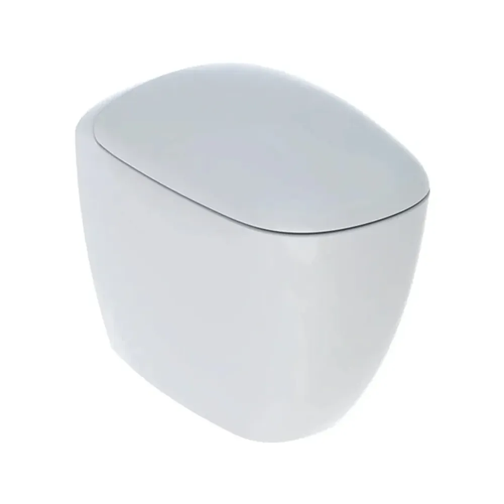 Vaso filomuro sans rebord avec évacuation universelle et siège à fermeture douce modèle Citterio de Geberit cm 56