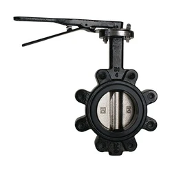 2-1/2" Nominal DI BFV Lug/Lever Duct Disc/Buna-N-Seat 9660L2.5