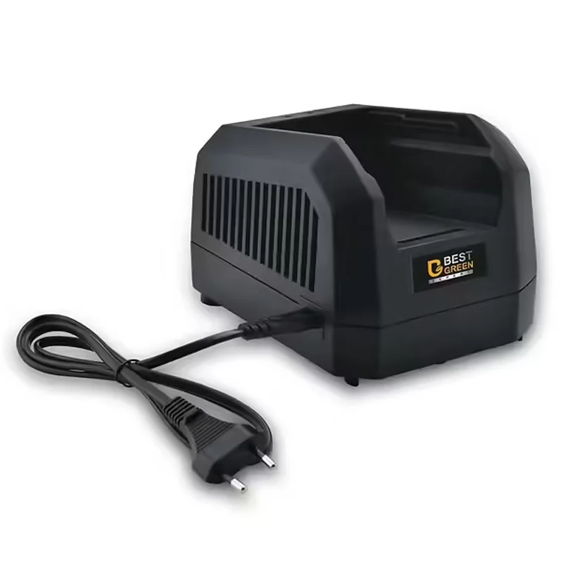 BGCH40V2A - CHARGEUR NORMAL BG EXP 40 - 2A avec Garantie