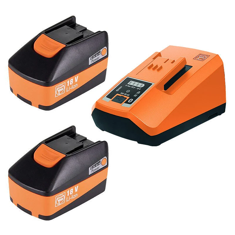 Pack 2 batteries FEIN 18V 6,0Ah + 1 Chargeur express ALG 80 BC