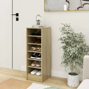Professionnel Armoire à chaussures Chêne Sonoma 31,5x35x90