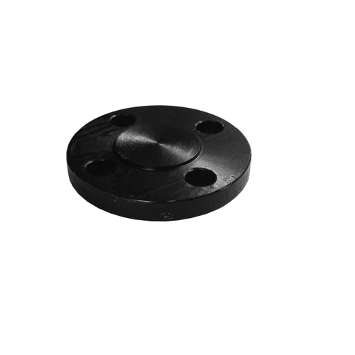 1-1/2" 316 SS Blind Flange 107044SS