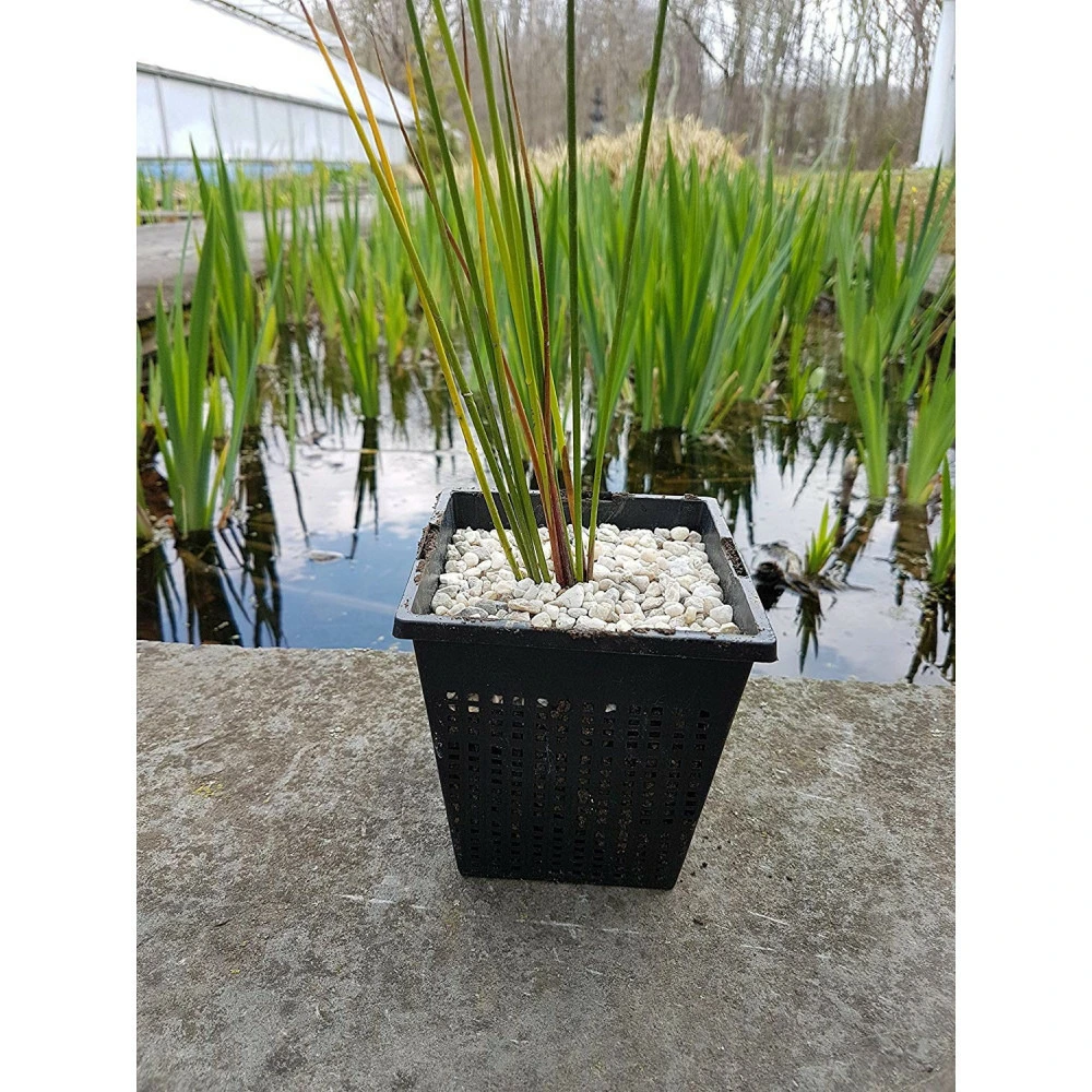 Amortisseur arrière Lot de 3 paniers 28 x 28 x 18 pour bassin aquatique