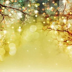 Amortisseur arrière Toile de fond d'rbre scintillant bokeh pour l'anniversaire de Noël S-2911