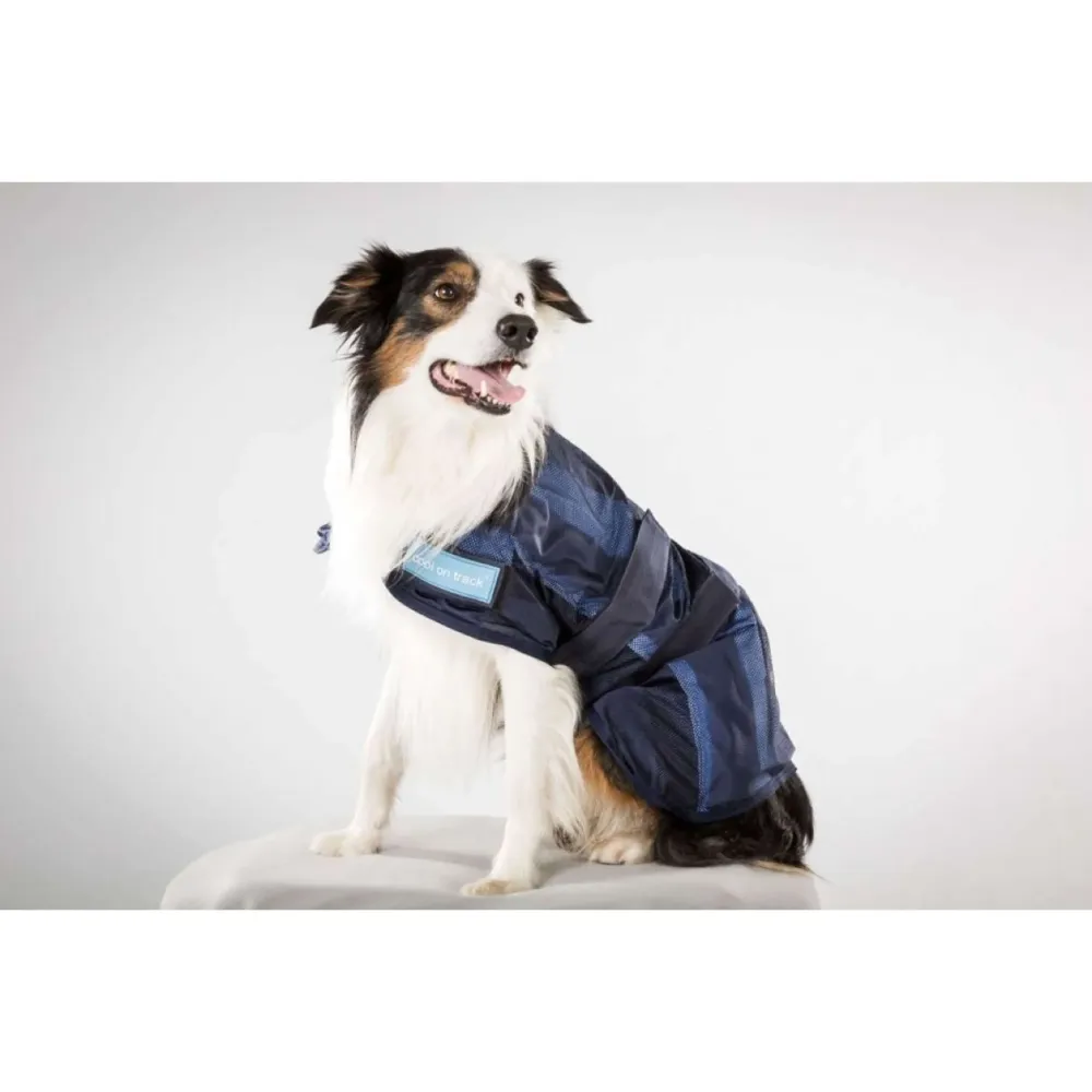 Certifié OEM Back on Track Refroidissant Rug Bleu