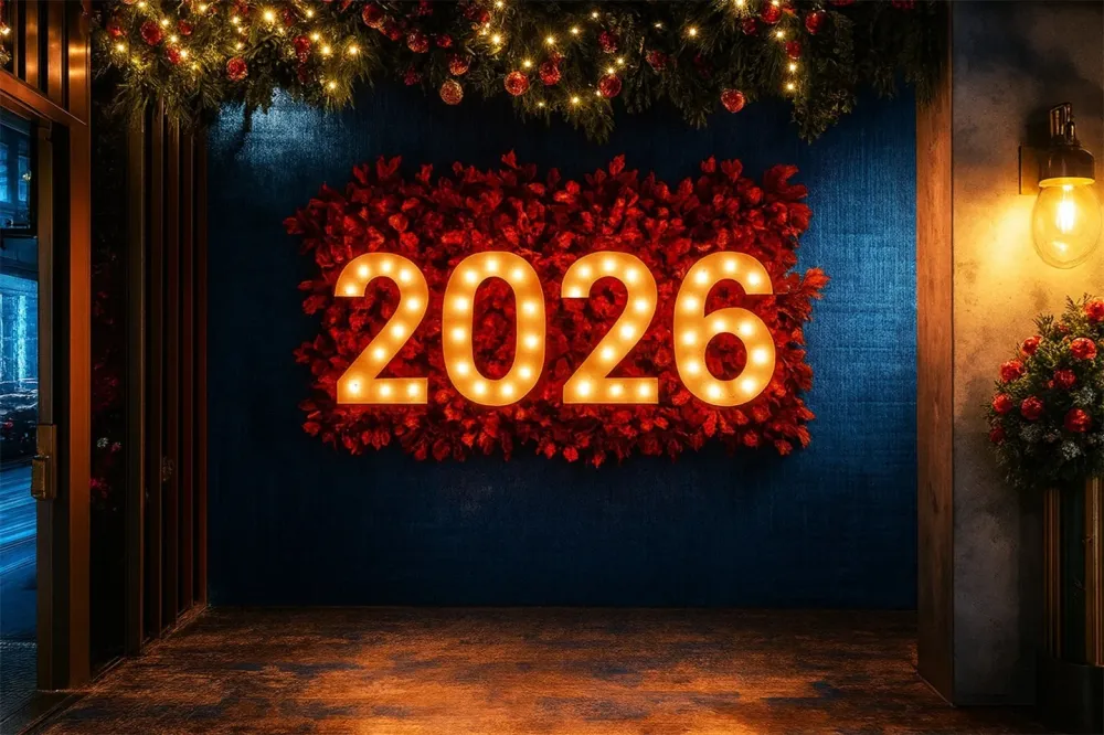 Fond pour le Nouvel 2026 Décorations lumineuses festives Fond pour le Nouvel LXX510-10 avec joints neufs