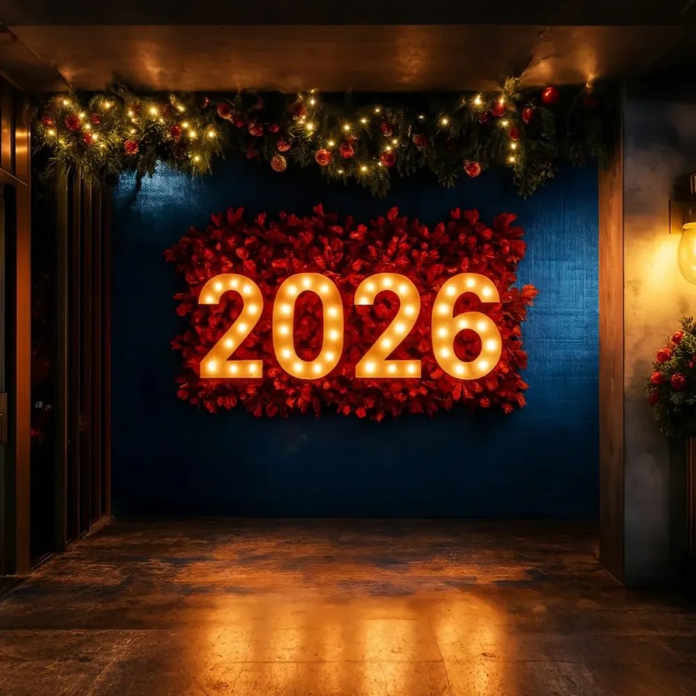 Fond pour le Nouvel 2026 Décorations lumineuses festives Fond pour le Nouvel LXX510-10 avec joints neufs
