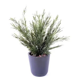 Podocarpus artificiel en piquet pour l'extérieur H 45 cm Compatible avec Honda CRF250