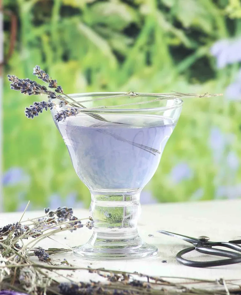 Table Pride Orion En verre Ice Cream Bowl - Clear