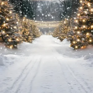 Toile de Fond Arbres Lumineux d'Hiver sous la Neige de Noël RR8-366