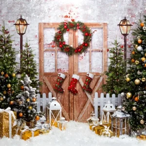 Toile de Fond de êt Enchantée avec Lumières Scintillantes de Noël RR8-270