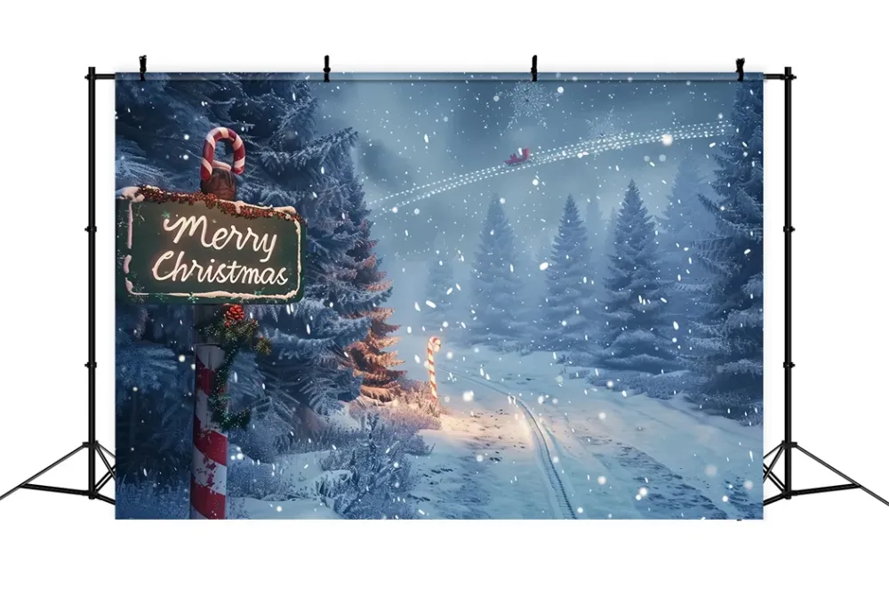 Toile de fond de Sentier Enchanté de êt de Noël BRP8-15