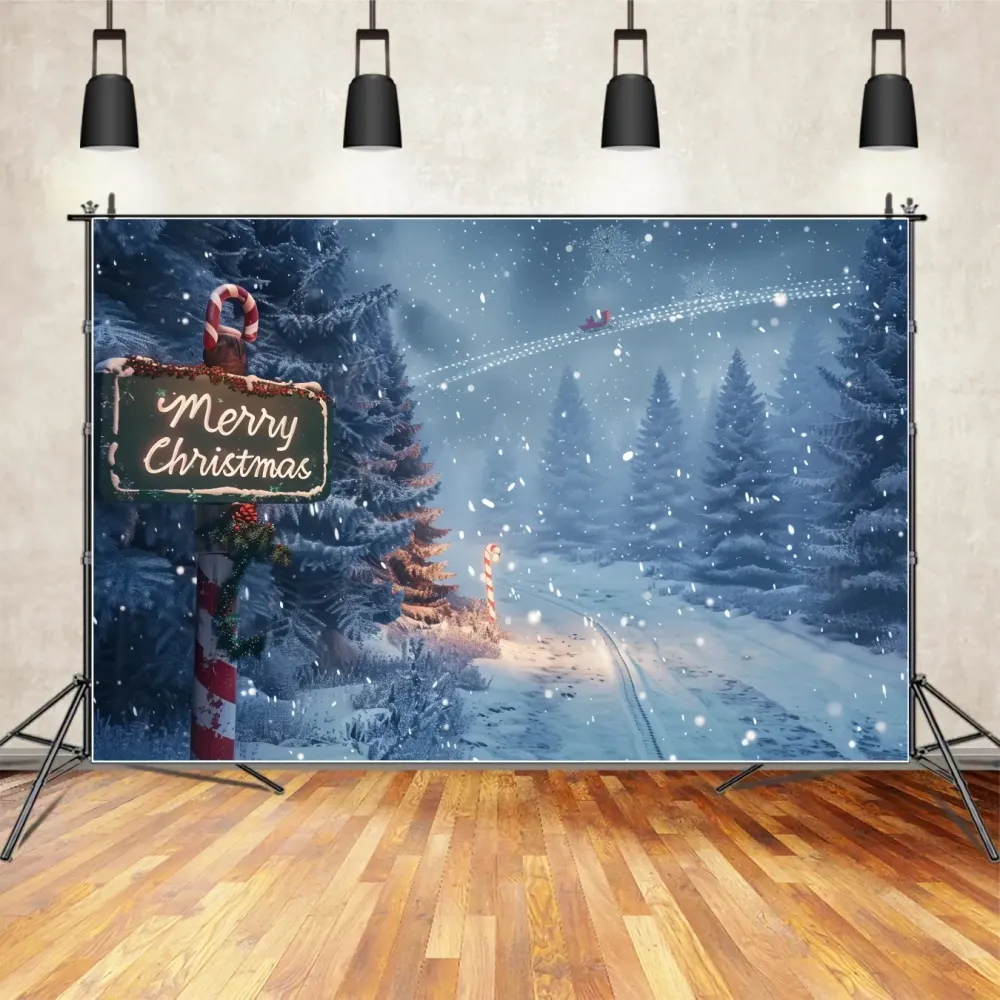 Toile de fond de Sentier Enchanté de êt de Noël BRP8-15