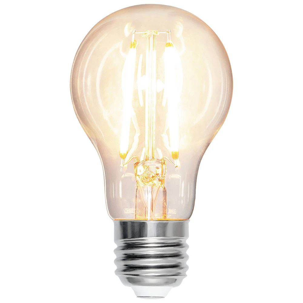 Ampoule LED E27 A60 7 W 2 700 K filament 810 lm