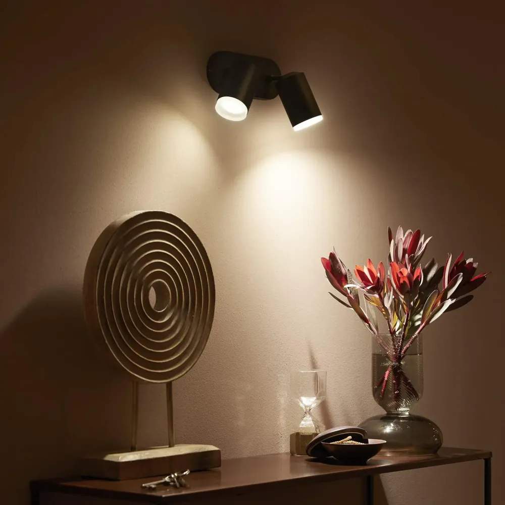Lustre à LED Blanc Fugato 2 ampoules de 6W PHILIPS Hue
