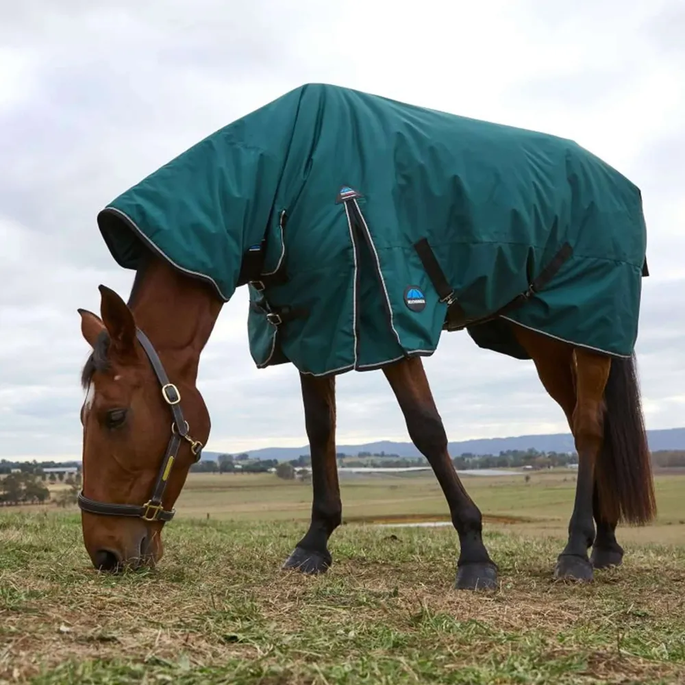 Filet de sécurité WeatherBeeta ComFiTec Épuré Turnout Combo 220g Forest Green/Black
