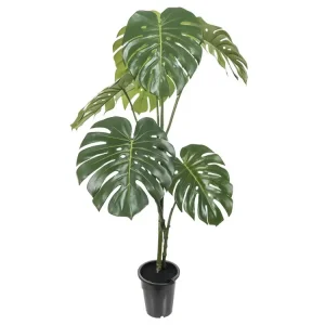Monstera deliciosa artificielle, sur pied, en pot H 120 cm, D 65 cm - choisissez votre hauteur: H 120 cm