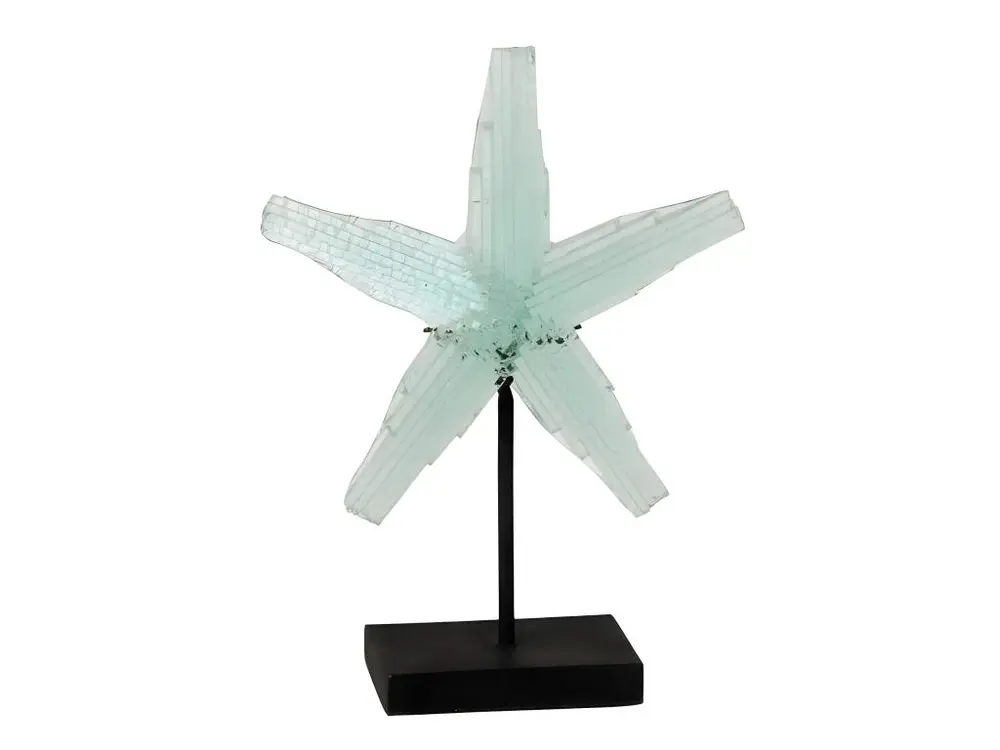 Statuette Déco "Étoile de Mer sur Pied" 35cm Bleu