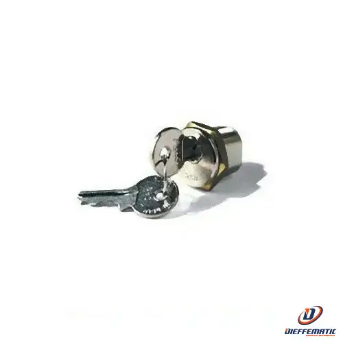 Bougie d'allumage Cilindro Serratura Con Chiave Din Per Automazioni Bx Came R001