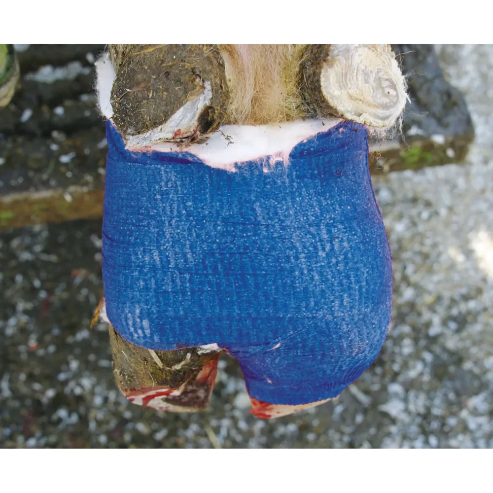 Kerbl Bandage VetLastic Autocollant Bleu pour flotte de véhicules