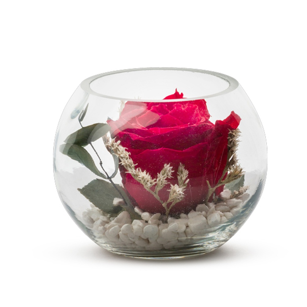 Certifié CE pour Flottes Verrine Venezia 11 rouge eucalyptus Naturalys