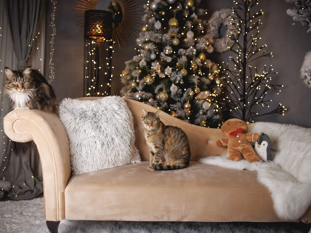 Right Hand Chaise Lounge Velvet Écru LATTES