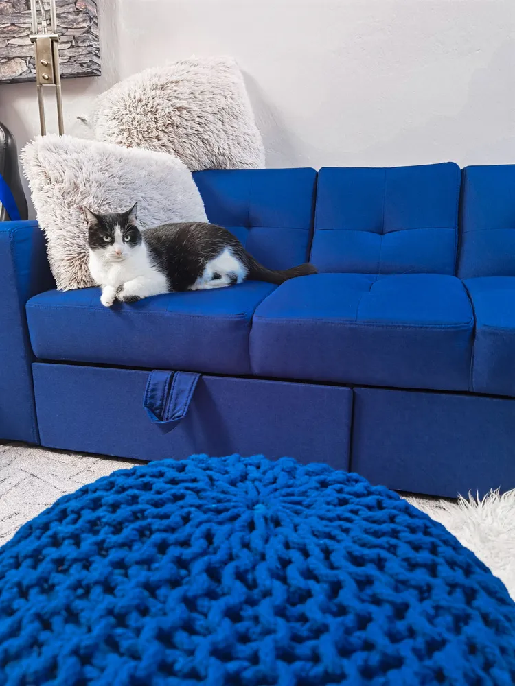 Sectional Sofa Bed Ottoman Marine Blue FALSTER