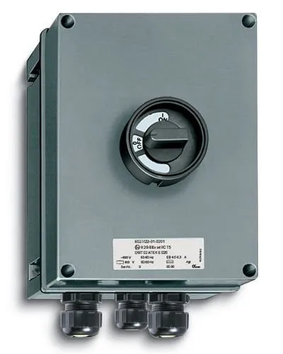 Disjoncteur de protection moteur DENIOS 170030 prendre à bas prix