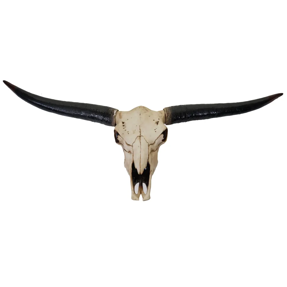 Crâne décoratif 132cm trophée tête de taureau longhorn en polyrésine intérieur/extérieur couleur naturelle 04_0002845