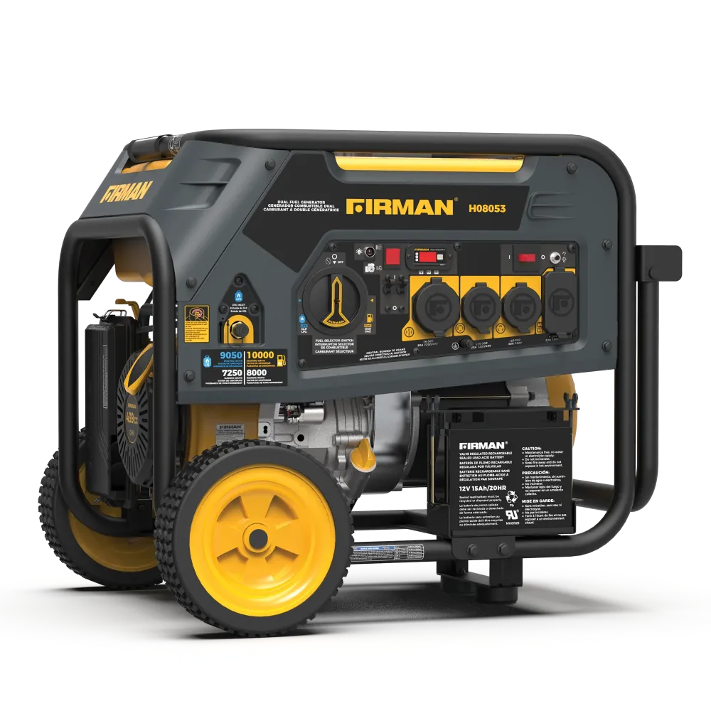 Dual Fuel Léger et mobile Generator 8000W Electric Start 120/240V