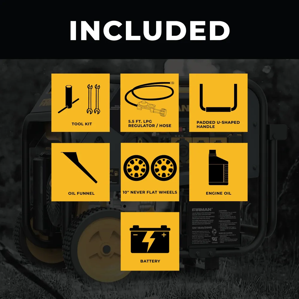Dual Fuel Léger et mobile Generator 8000W Electric Start 120/240V