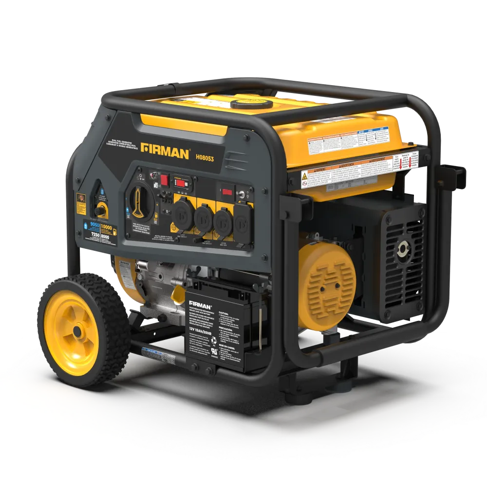 Dual Fuel Léger et mobile Generator 8000W Electric Start 120/240V