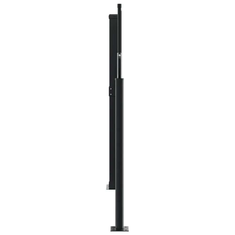 Sangle de fixation Auvent latéral rétractable noir 100x1000 cm