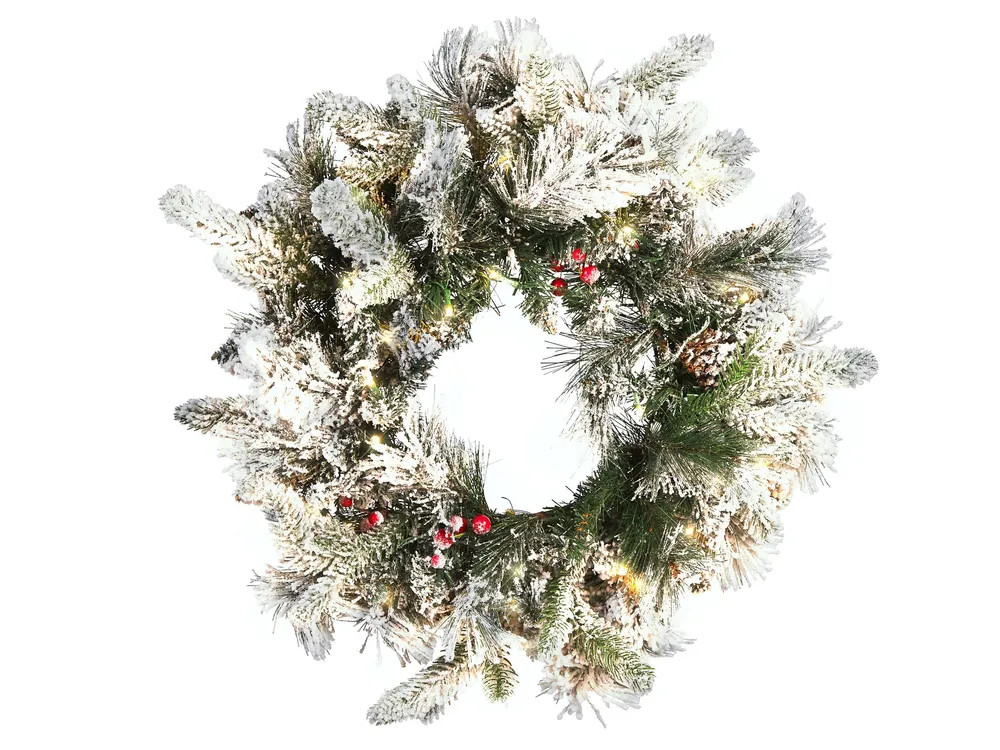 Pre-Lit Snowy Christmas Wreath ⌀ 55 cm Blanc pur WHITEHORN