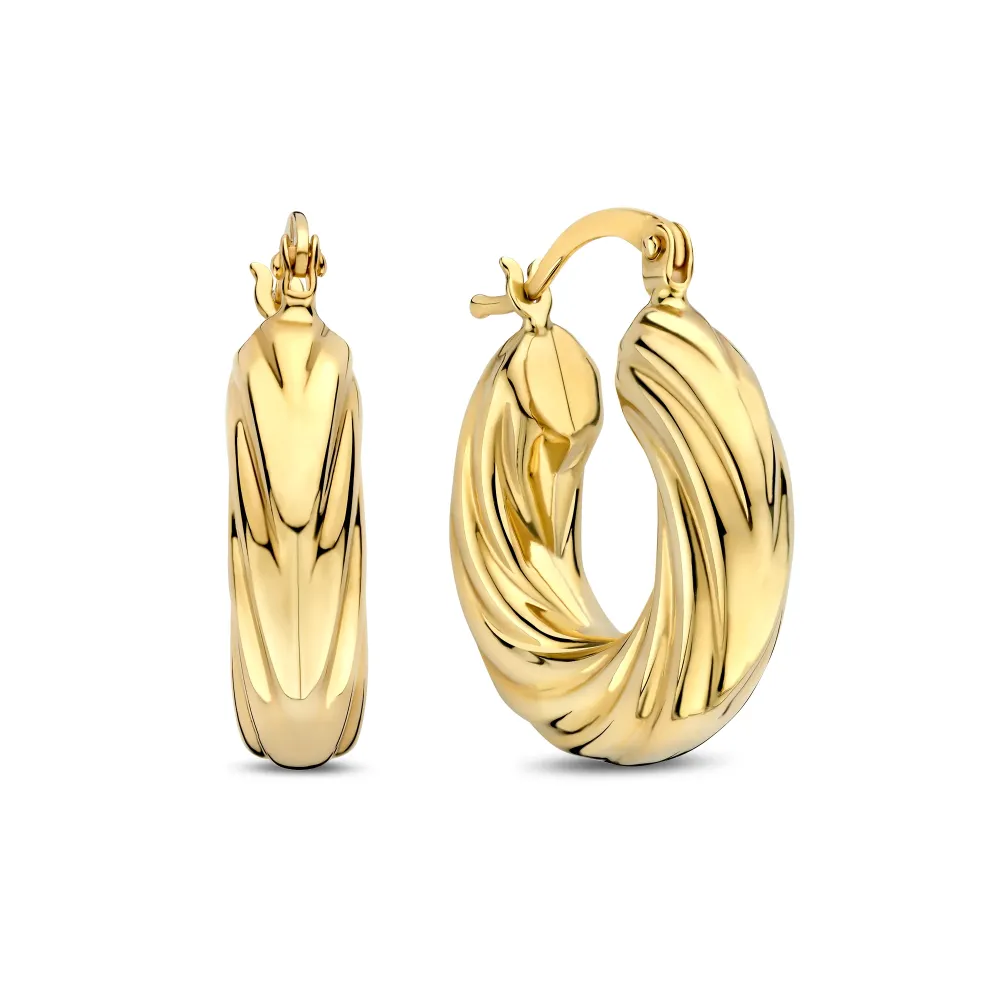 Rivoli Belle boucles d'oreilles en or 14 carats avec top case