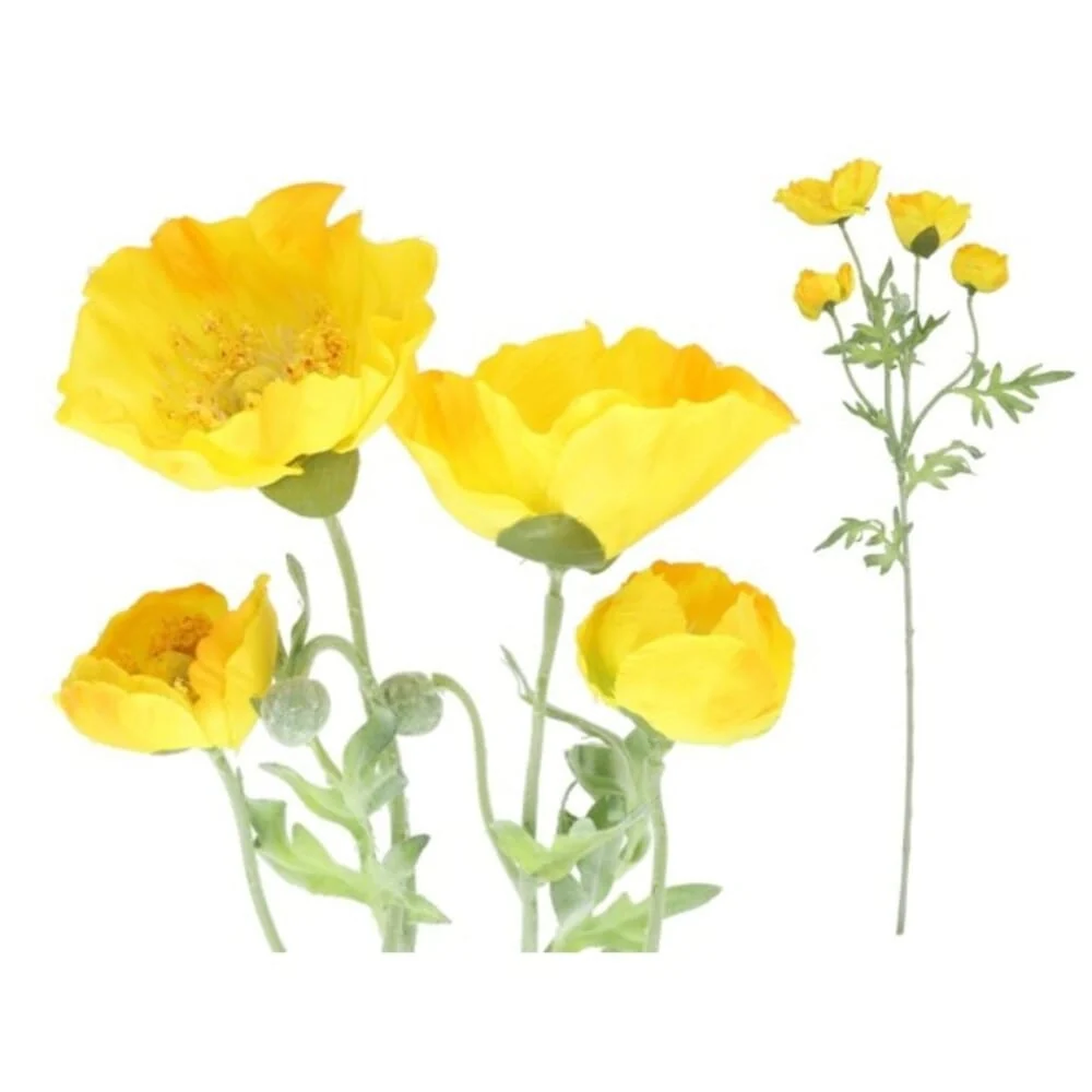 Tige de poivron à 4 fleurs - 300cc