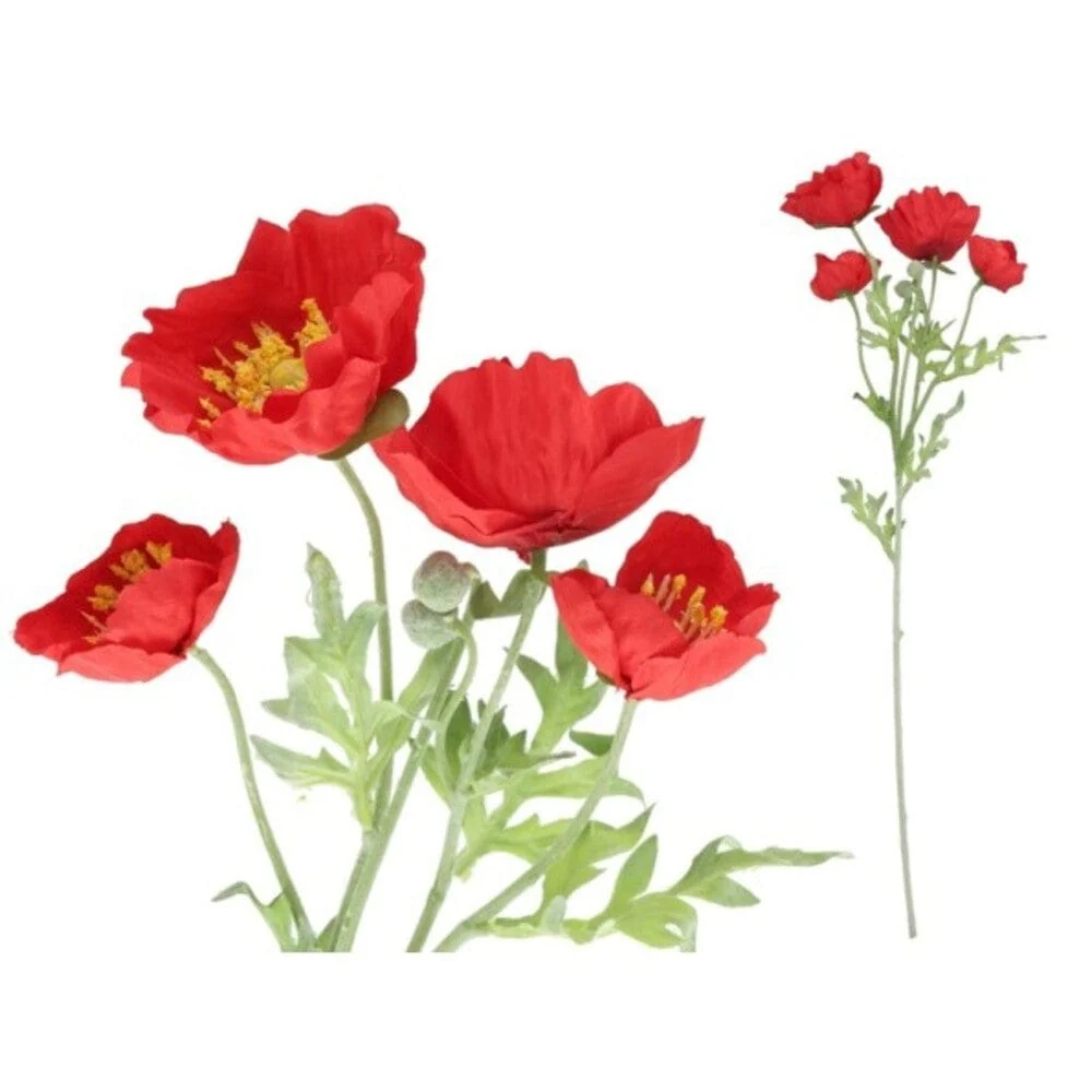 Tige de poivron à 4 fleurs - 300cc